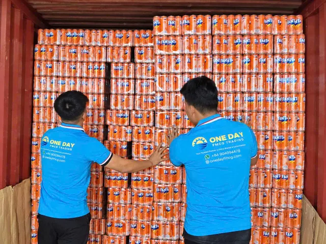 Cartons being arranged inside a shipping container
