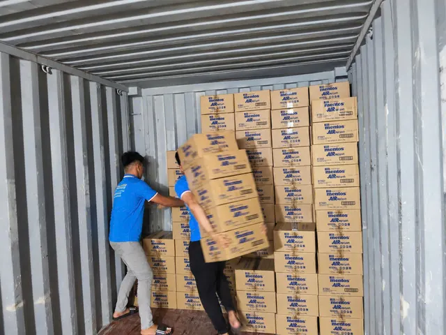 Cartons being placed inside a shipping container