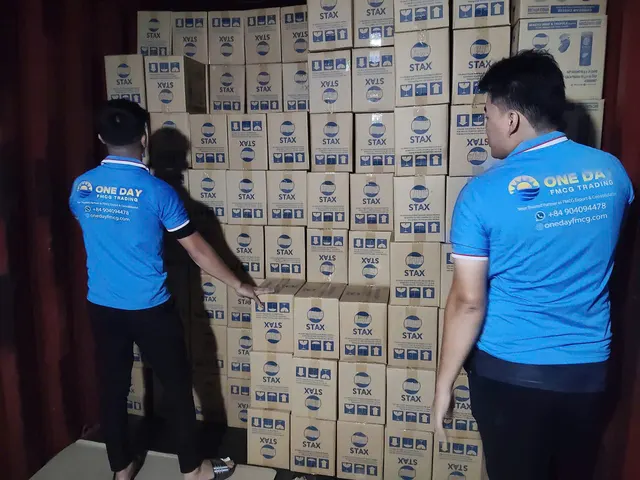 Cartons arranged in rows inside a container