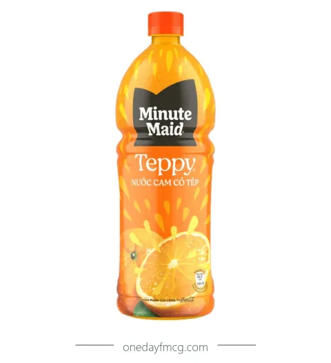 Teppy Orange Juice 1L x 12 bottles
