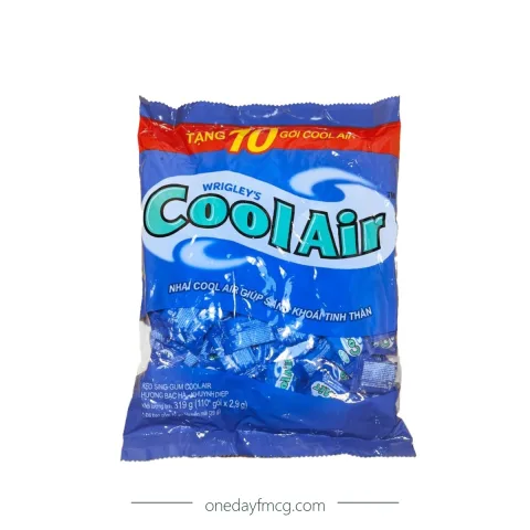 CoolAir Mint Flavored Chewing Gum 319g