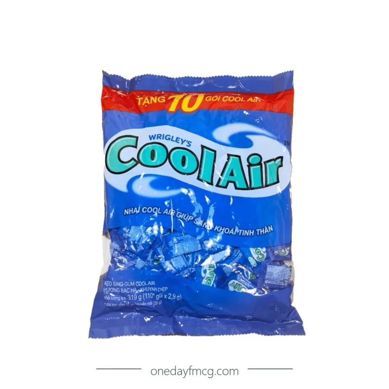 CoolAir Mint Flavored Chewing Gum 319g