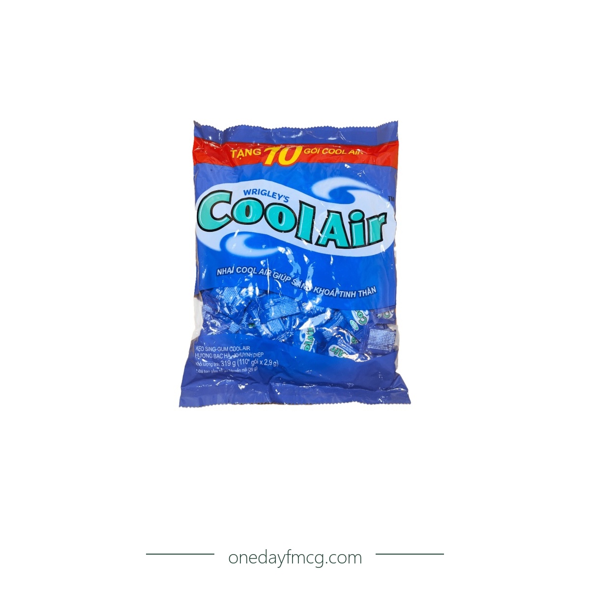 CoolAir Mint Flavored Chewing Gum 319g