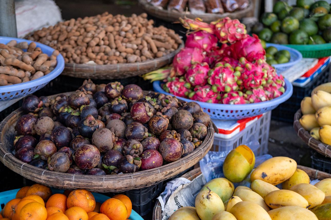 Vietnam FMCG Products: A Rising Global Supply Hub for Quality, Diversity, and Competitive Pricing