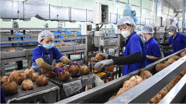 Vietnam FMCG Products: A Rising Global Supply Hub for Quality, Diversity, and Competitive Pricing